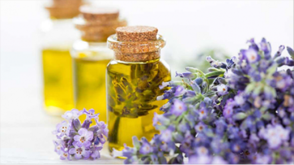 美國NAHA芳療師認證課程